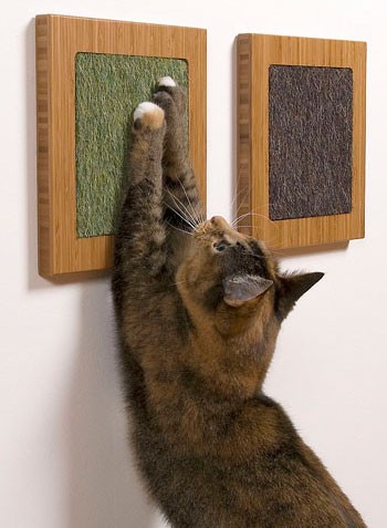 Bamboo Amber Vertical with Mohair Frog and Mohair Gerbil