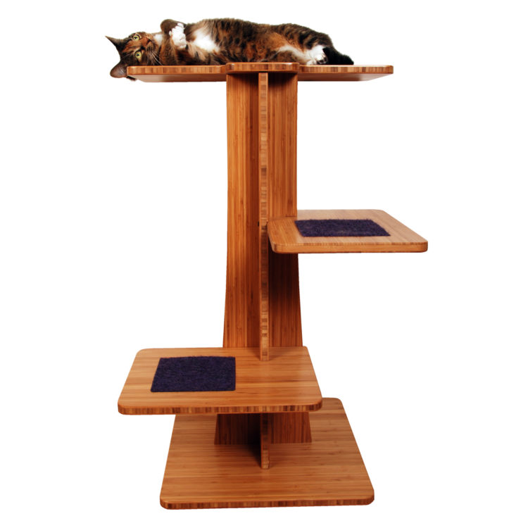 Cat on top of wooden modern cat tree