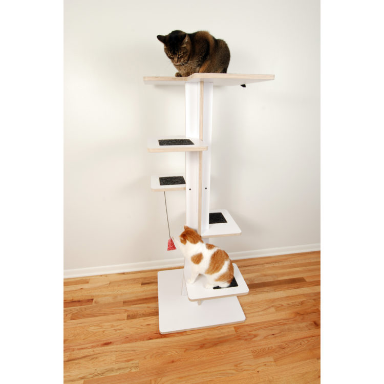 Cats playing on modern Baobab Tower with Catnip Toy