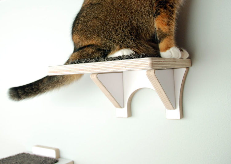 MODERN CAT CLIMBING SHELF