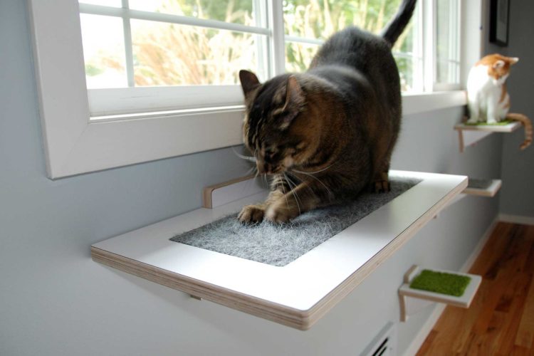 CAT WINDOW PERCH with cat and grey scratch pad